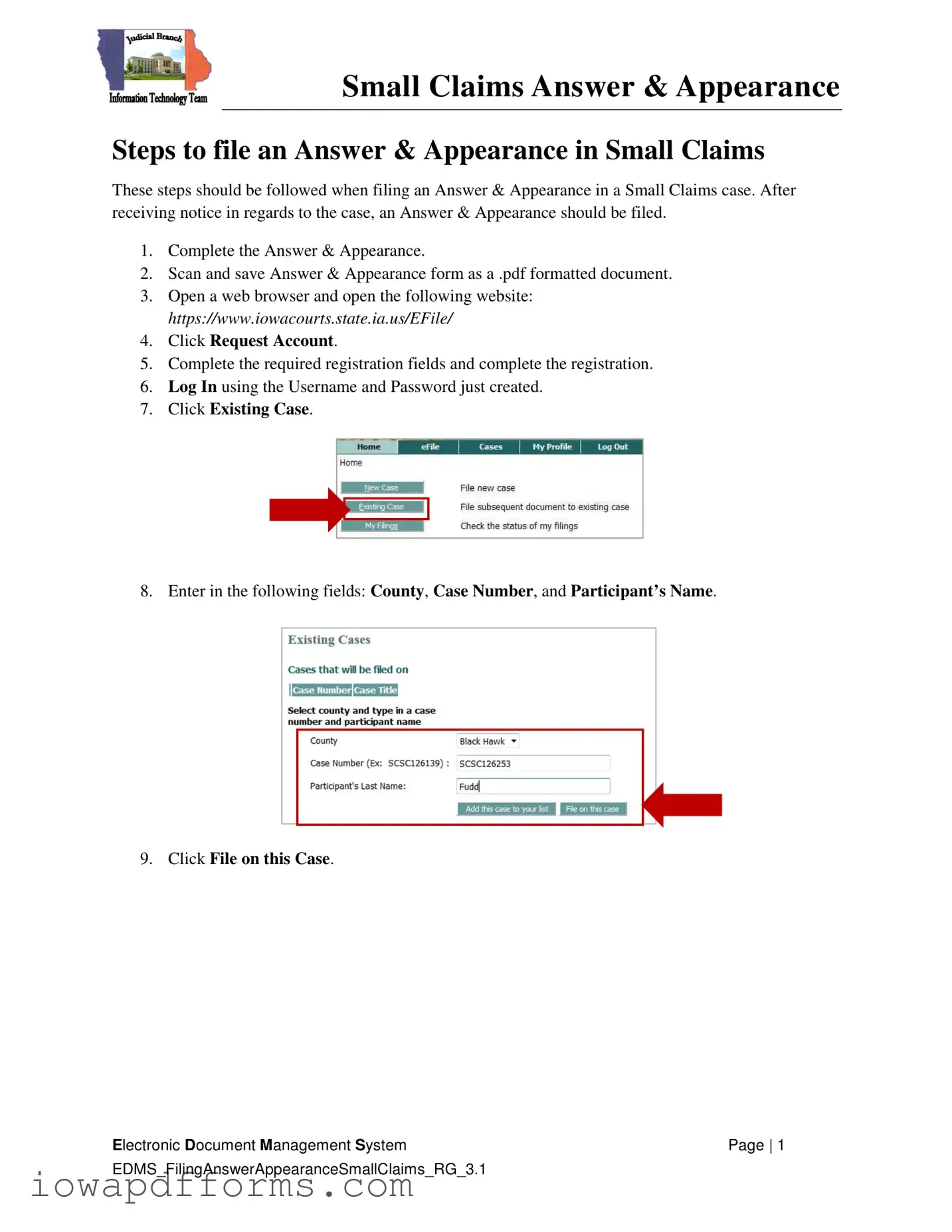 Fill in Your Iowa Appearance and Answer Template